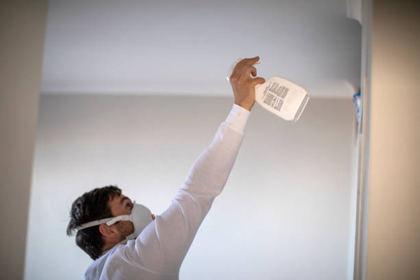 Best Water Damage Restoration  in Monroe, LA